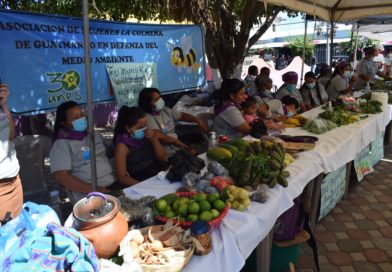Mujeres rurales construyendo soberanía alimentaria